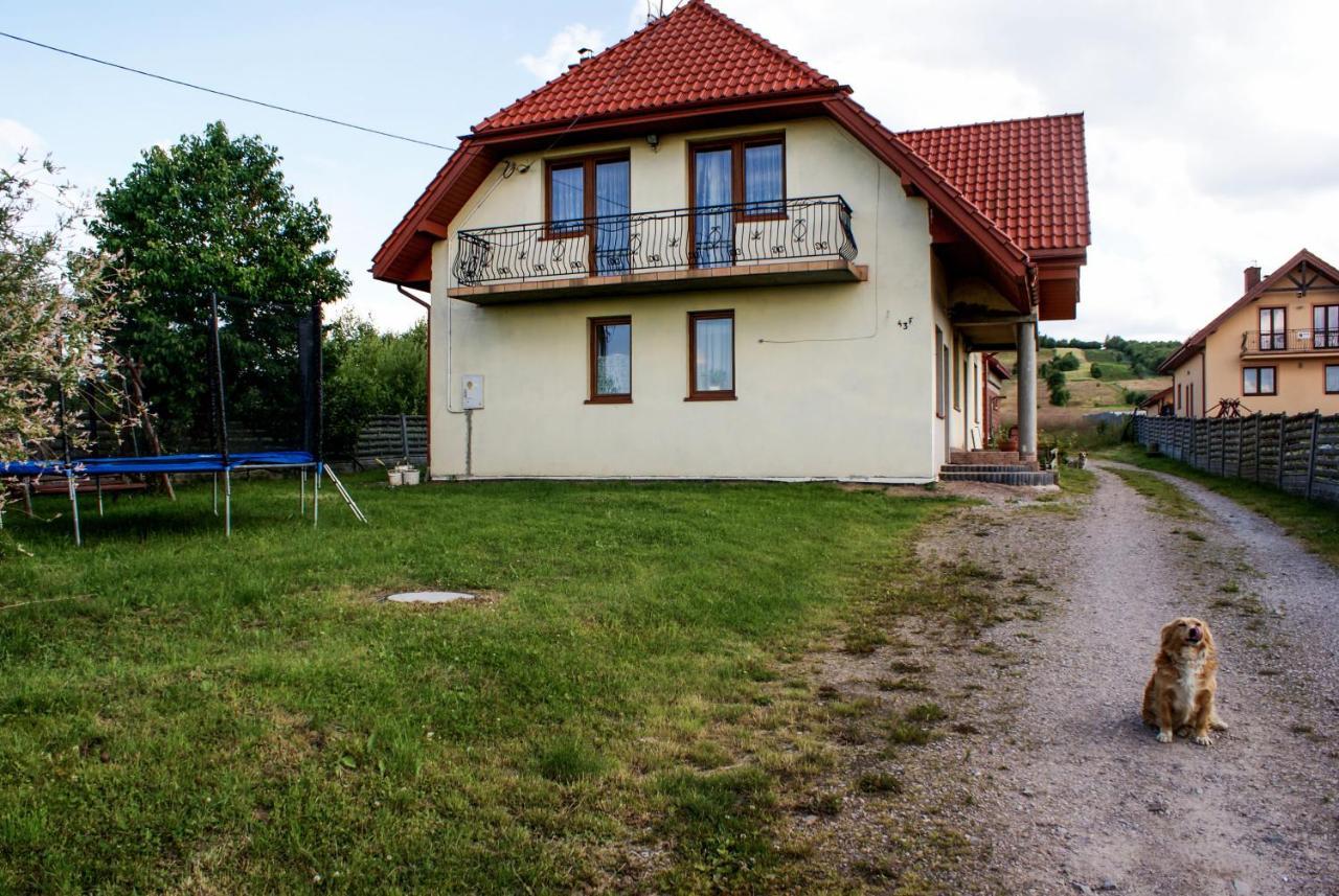 Agroturystyka U Aleksa Krajno-Zagorze Exterior foto